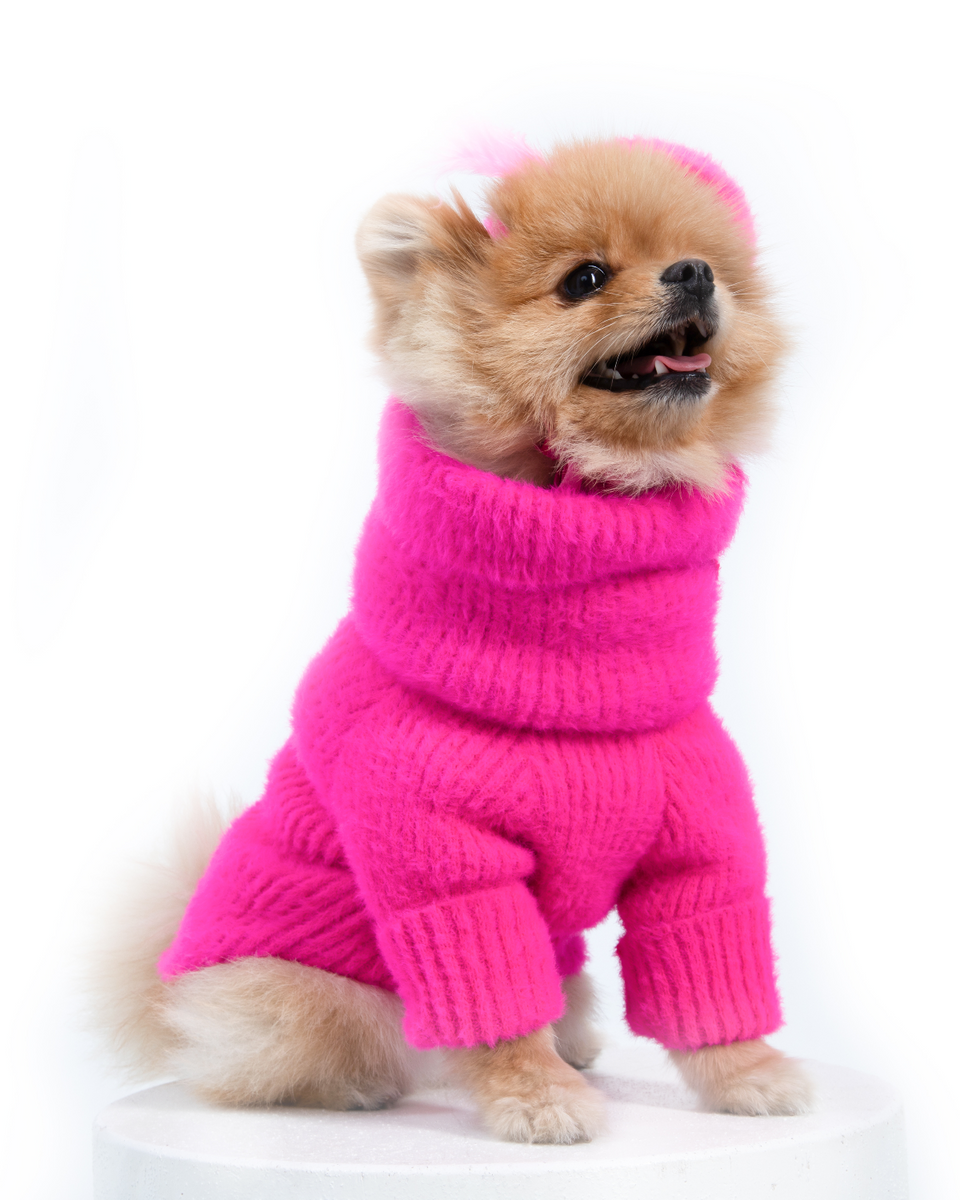 Pawtton Joy Chewy Cute Dog Sweater